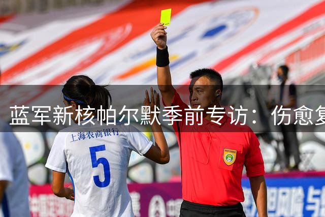 蓝军新核帕尔默季前专访：伤愈复出瞄准10号位 联手发小再造进攻体系